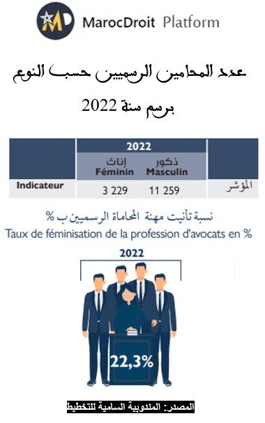 نسبة تأنيث مهنة المحاماة بالمغرب