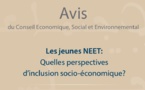 CESE LES : JEUNES NEET : QUELLES PERSPECTIVES D’INCLUSION SOCIO-ÉCONOMIQUE?